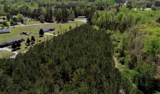Photo of SOLD!!  36 Acres of  Timber Land For Sale in Pitt County NC!