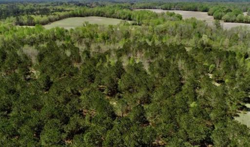 Photo of SOLD!!  36 Acres of  Timber Land For Sale in Pitt County NC!