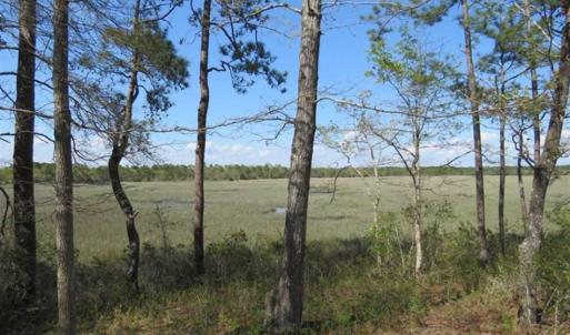 Photo of REDUCED!  0.47 Acre Residential Lot For Sale in Brunswick County NC!