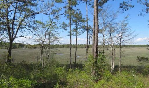 Photo of REDUCED!  0.47 Acre Residential Lot For Sale in Brunswick County NC!