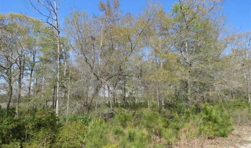 Photo of REDUCED!  0.47 Acre Residential Lot For Sale in Brunswick County NC!