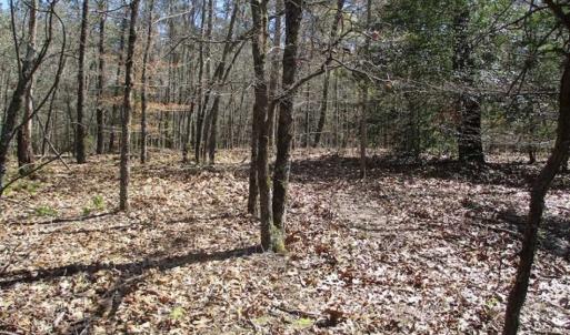 Photo of 1 Acre Residential Building Lot For Sale in Southampton County VA!