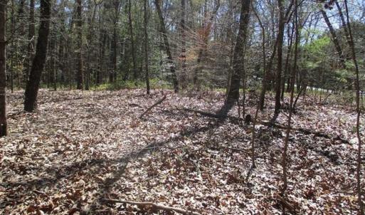 Photo of 1 Acre Residential Building Lot For Sale in Southampton County VA!