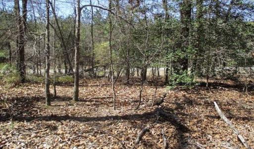 Photo of 1 Acre Residential Building Lot For Sale in Southampton County VA!