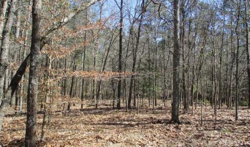 Photo of 1 Acre Residential Building Lot For Sale in Southampton County VA!