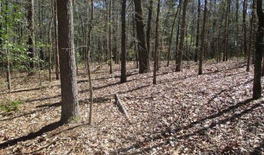 Photo of 1 Acre Residential Building Lot For Sale in Southampton County VA!