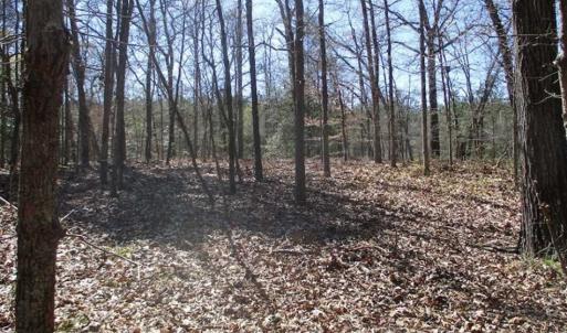 Photo of 1 Acre Residential Building Lot For Sale in Southampton County VA!