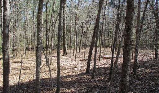 Photo of 1 Acre Residential Building Lot For Sale in Southampton County VA!