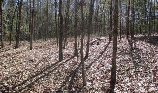 Photo of 1 Acre Residential Building Lot For Sale in Southampton County VA!