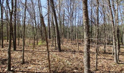 Photo of 1 Acre Residential Building Lot For Sale in Southampton County VA!