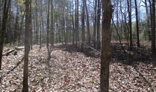 Photo of 1 Acre Residential Building Lot For Sale in Southampton County VA!