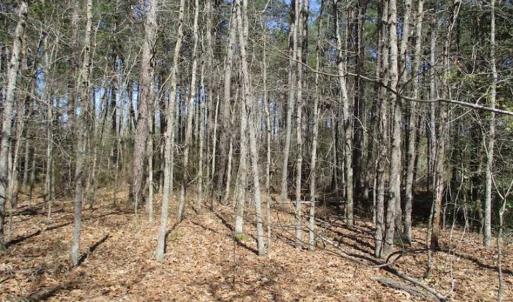 Photo of 1 Acre Residential Building Lot For Sale in Southampton County VA!