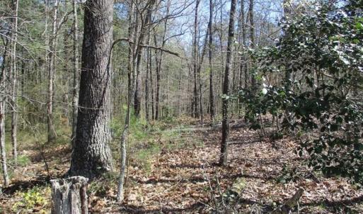 Photo of 1 Acre Residential Building Lot For Sale in Southampton County VA!