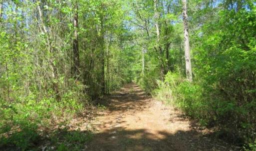Photo of SOLD!!  9 Acres of Residential and Hunting Land in Pender County NC!