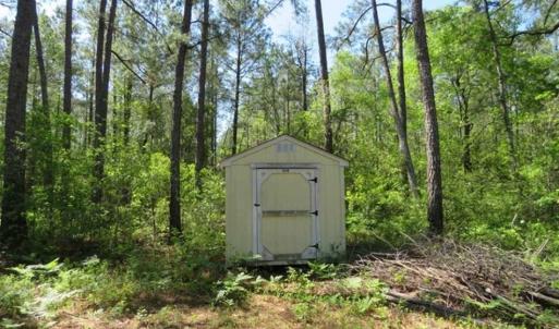 Photo of SOLD!!  9 Acres of Residential and Hunting Land in Pender County NC!