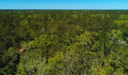 Photo of SOLD!!  9 Acres of Residential and Hunting Land in Pender County NC!