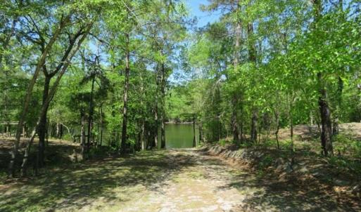 Photo of SOLD!!  9 Acres of Residential and Hunting Land in Pender County NC!