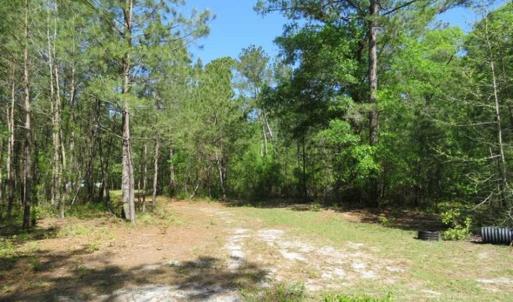 Photo of SOLD!!  9 Acres of Residential and Hunting Land in Pender County NC!