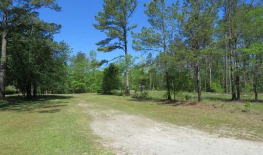 Photo of SOLD!!  9 Acres of Residential and Hunting Land in Pender County NC!