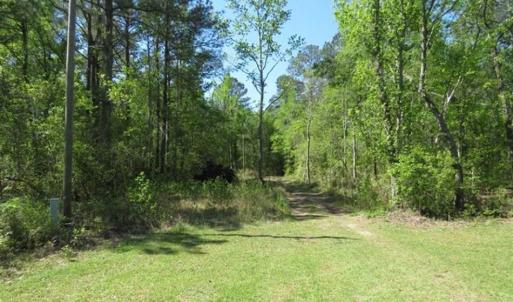 Photo of SOLD!!  9 Acres of Residential and Hunting Land in Pender County NC!