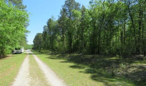 Photo of SOLD!!  9 Acres of Residential and Hunting Land in Pender County NC!