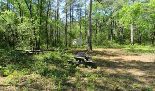 Photo of SOLD!!  9 Acres of Residential and Hunting Land in Pender County NC!
