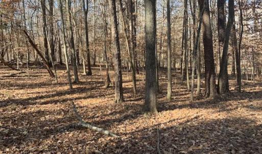 Photo of UNDER CONTRACT!!  10 Acres 0f Timber Land For Sale in Orange County NC!