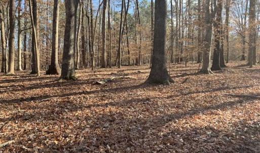 Photo of UNDER CONTRACT!!  10 Acres 0f Timber Land For Sale in Orange County NC!
