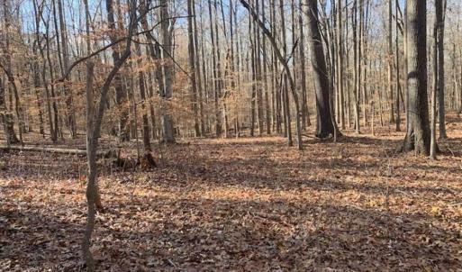 Photo of UNDER CONTRACT!!  10 Acres 0f Timber Land For Sale in Orange County NC!