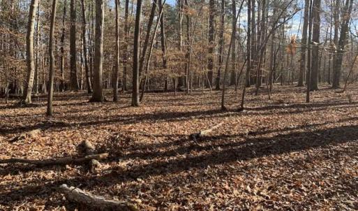 Photo of UNDER CONTRACT!!  10 Acres 0f Timber Land For Sale in Orange County NC!