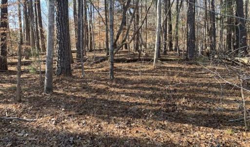 Photo of UNDER CONTRACT!!  10 Acres 0f Timber Land For Sale in Orange County NC!