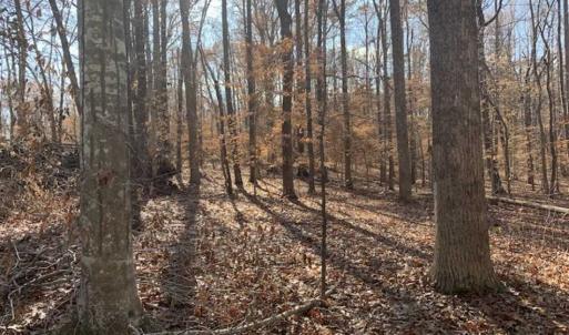 Photo of UNDER CONTRACT!!  10 Acres 0f Timber Land For Sale in Orange County NC!