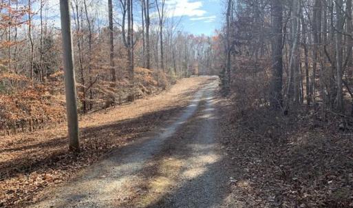 Photo of UNDER CONTRACT!!  10 Acres 0f Timber Land For Sale in Orange County NC!