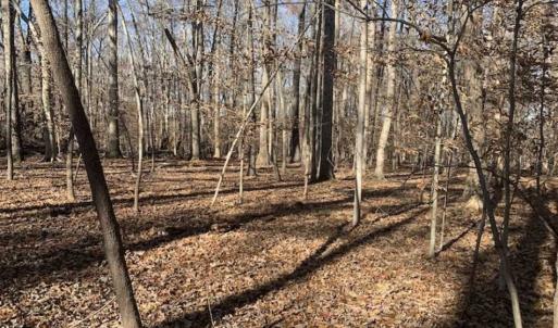 Photo of UNDER CONTRACT!!  10 Acres 0f Timber Land For Sale in Orange County NC!