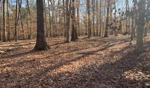 Photo of UNDER CONTRACT!!  10 Acres 0f Timber Land For Sale in Orange County NC!