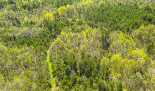 Photo of SOLD!!  106.89 Acres of Hunting Land with House For Sale in Person County NC!