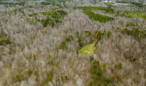 Photo of SOLD!!  106.89 Acres of Hunting Land with House For Sale in Person County NC!