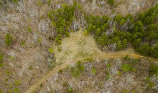 Photo of SOLD!!  106.89 Acres of Hunting Land with House For Sale in Person County NC!
