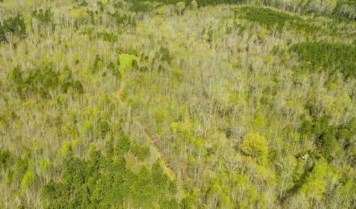 Photo of SOLD!!  106.89 Acres of Hunting Land with House For Sale in Person County NC!