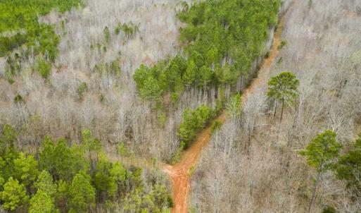 Photo of SOLD!!  106.89 Acres of Hunting Land with House For Sale in Person County NC!