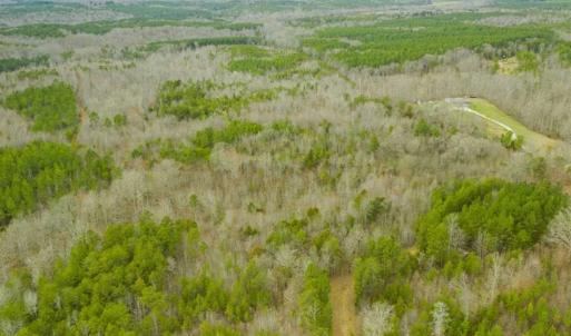 Photo of SOLD!!  106.89 Acres of Hunting Land with House For Sale in Person County NC!
