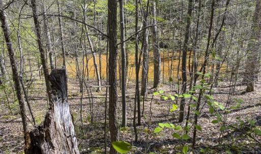 Photo of SOLD!!  106.89 Acres of Hunting Land with House For Sale in Person County NC!