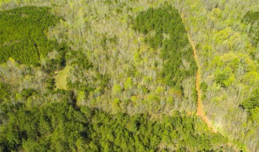 Photo of SOLD!!  106.89 Acres of Hunting Land with House For Sale in Person County NC!