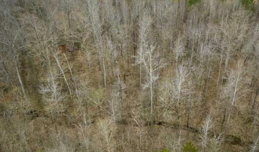 Photo of SOLD!!  106.89 Acres of Hunting Land with House For Sale in Person County NC!