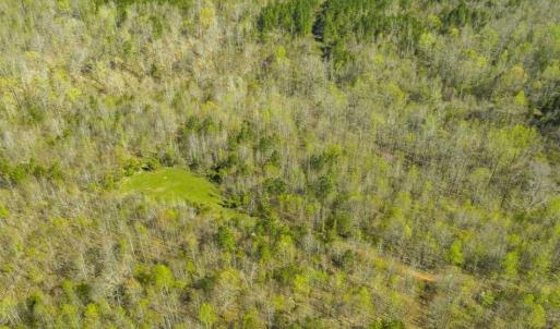 Photo of SOLD!!  106.89 Acres of Hunting Land with House For Sale in Person County NC!