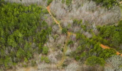 Photo of SOLD!!  106.89 Acres of Hunting Land with House For Sale in Person County NC!