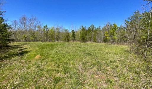Photo of SOLD!!  106.89 Acres of Hunting Land with House For Sale in Person County NC!