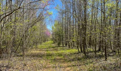 Photo of SOLD!!  106.89 Acres of Hunting Land with House For Sale in Person County NC!