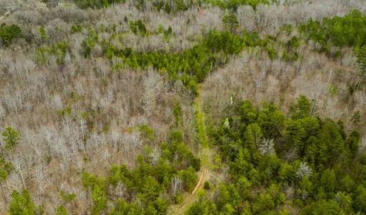 Photo of SOLD!!  106.89 Acres of Hunting Land with House For Sale in Person County NC!