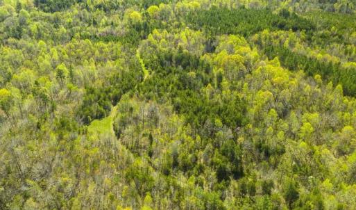 Photo of SOLD!!  106.89 Acres of Hunting Land with House For Sale in Person County NC!